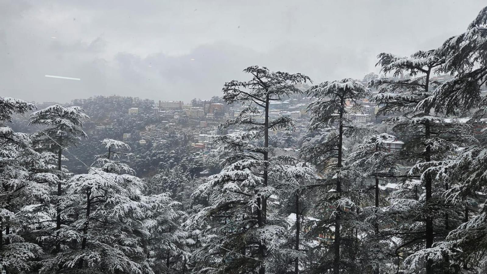 Mountain Zest- Simla Royale Near Mall Road Free Pickup From Railway Station Simla Exterior photo